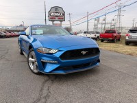 Image for 2019 Ford Mustang  ID: 7102406
