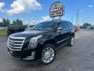 Image for 2019 Cadillac Escalade Platinum ID: 7634788
