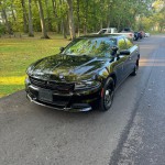 Image for 2017 Dodge Charger Police ID: 6874155