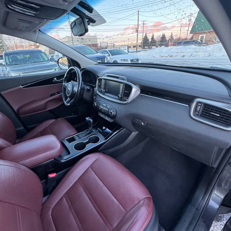 2017 Kia Sorento Image 9