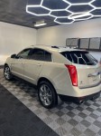 Image for 2011 Cadillac SRX Premium Collection ID: 6660679