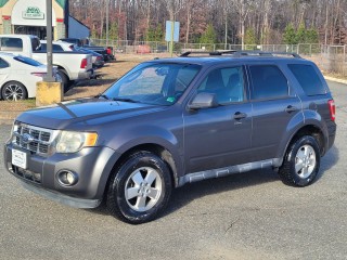 Image for 2011 Ford Escape XLT ID: 7086377
