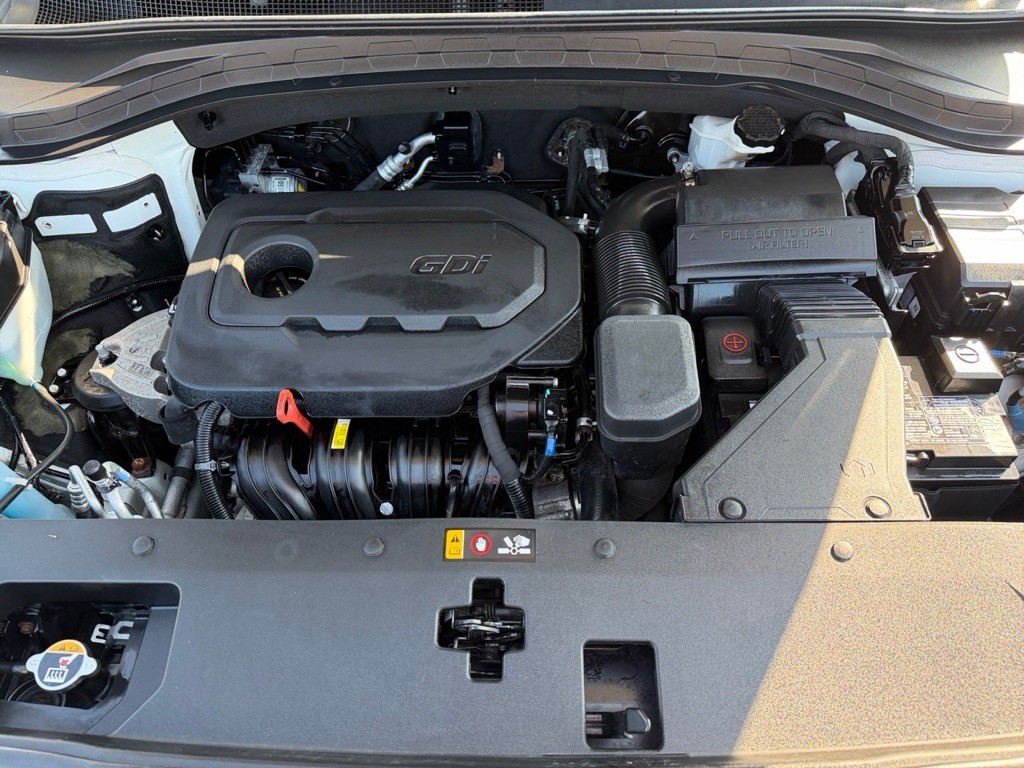 2019 Hyundai Santa Fe Image 43