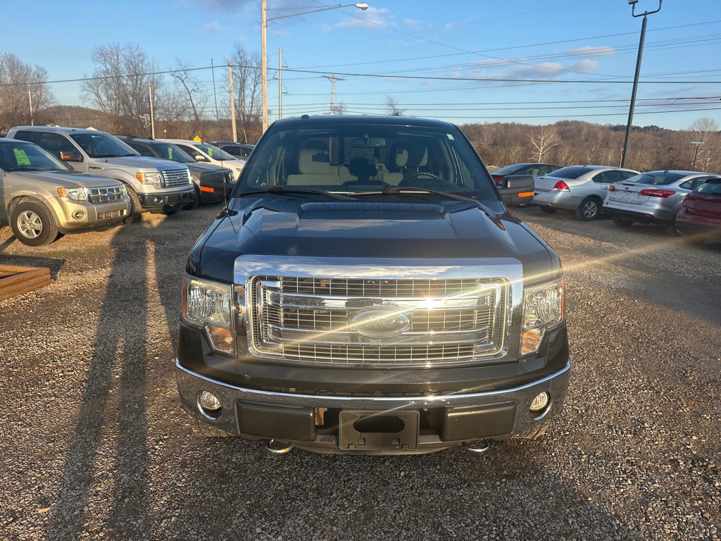 2013 Ford F-150 Image 2