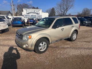 Image for 2011 Ford Escape XLT ID: 7063579