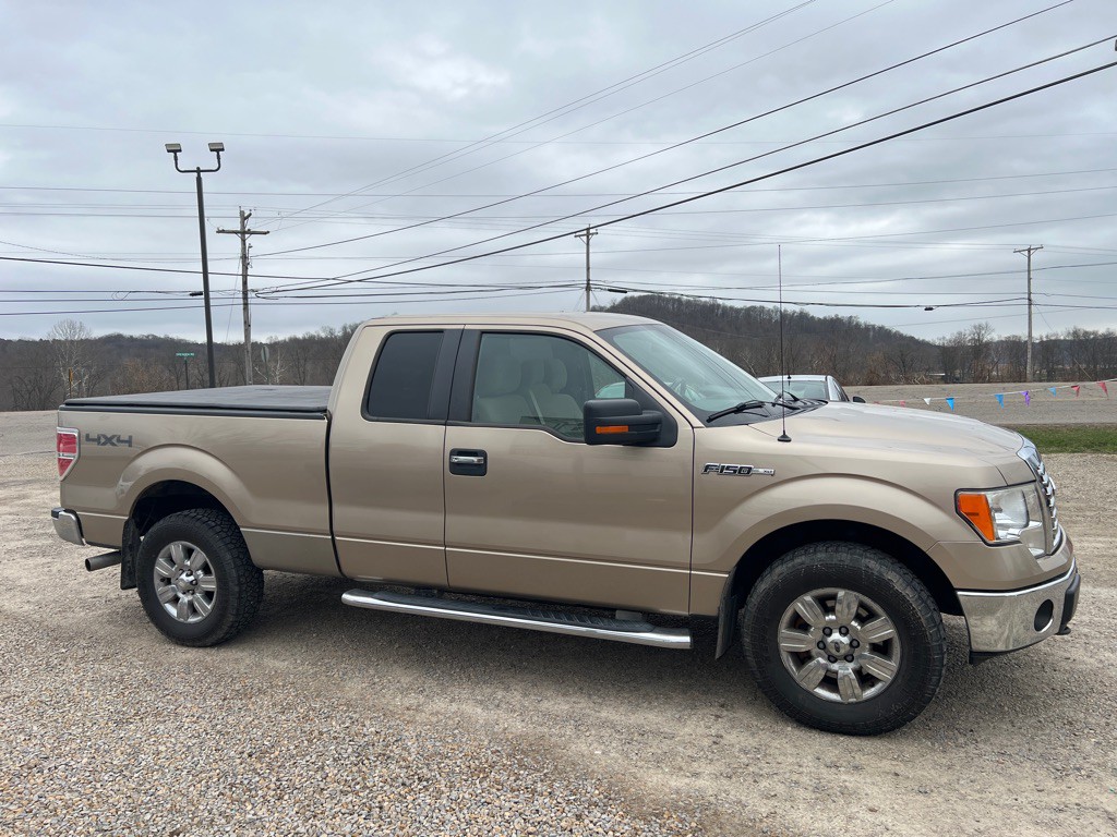 2011 Ford F-150 Image 3