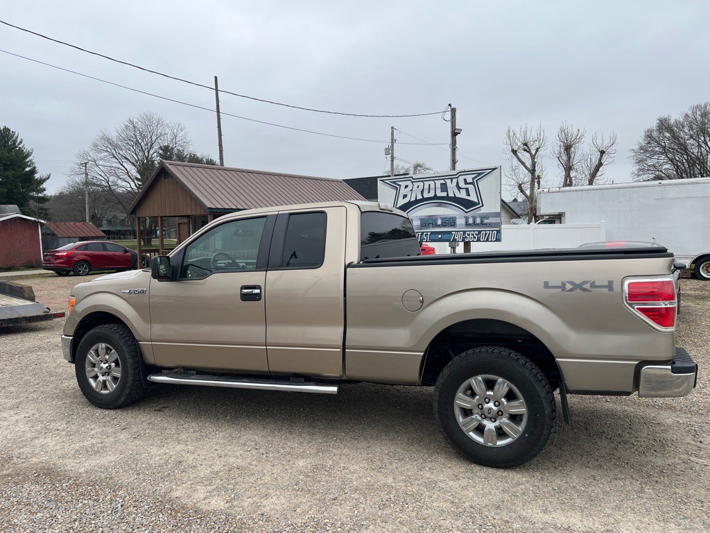 2011 Ford F-150 Image 6