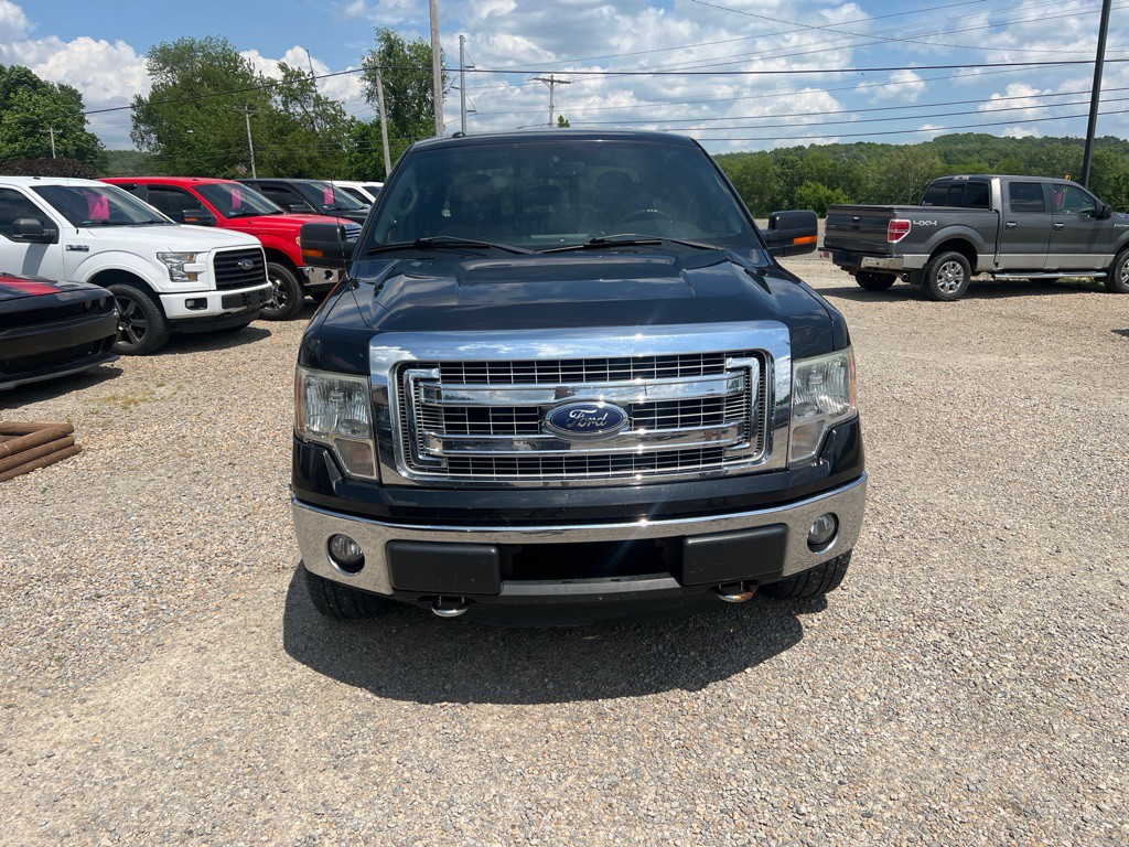 2013 Ford F-150 Image 3
