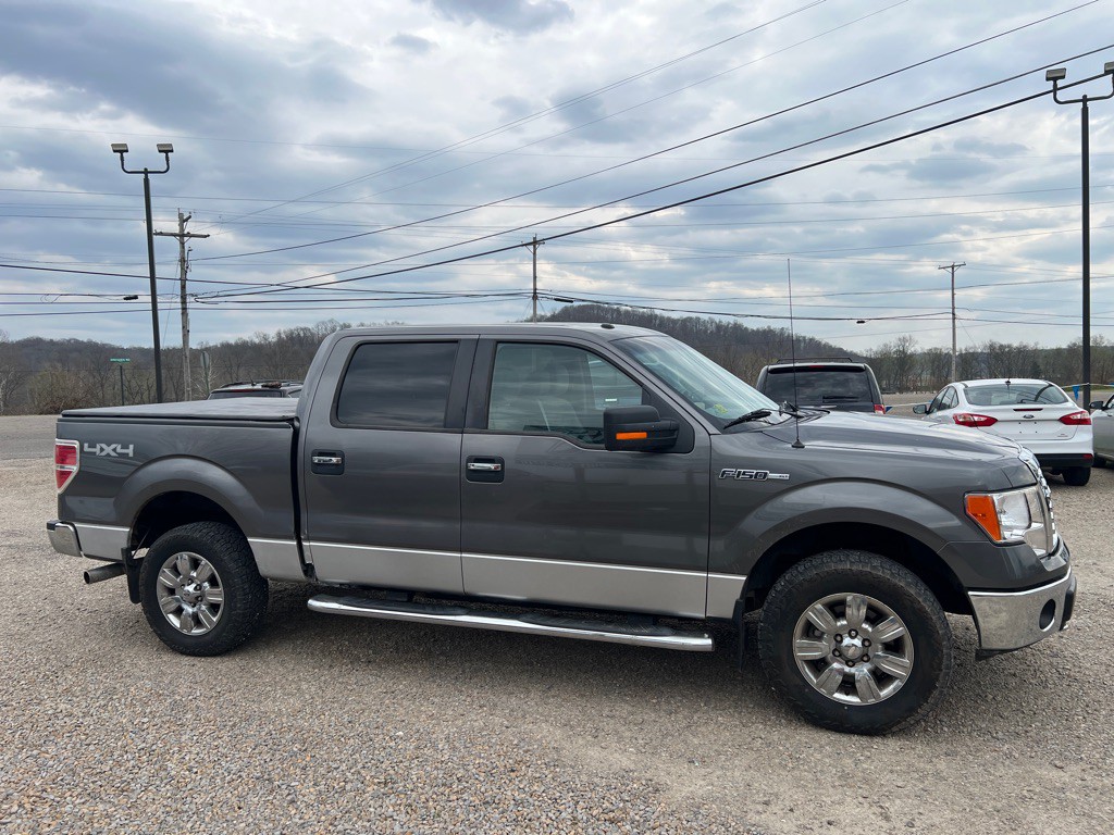 2011 Ford F-150 Image 3