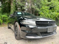 Image for 2019 Dodge Charger Police ID: 7506597