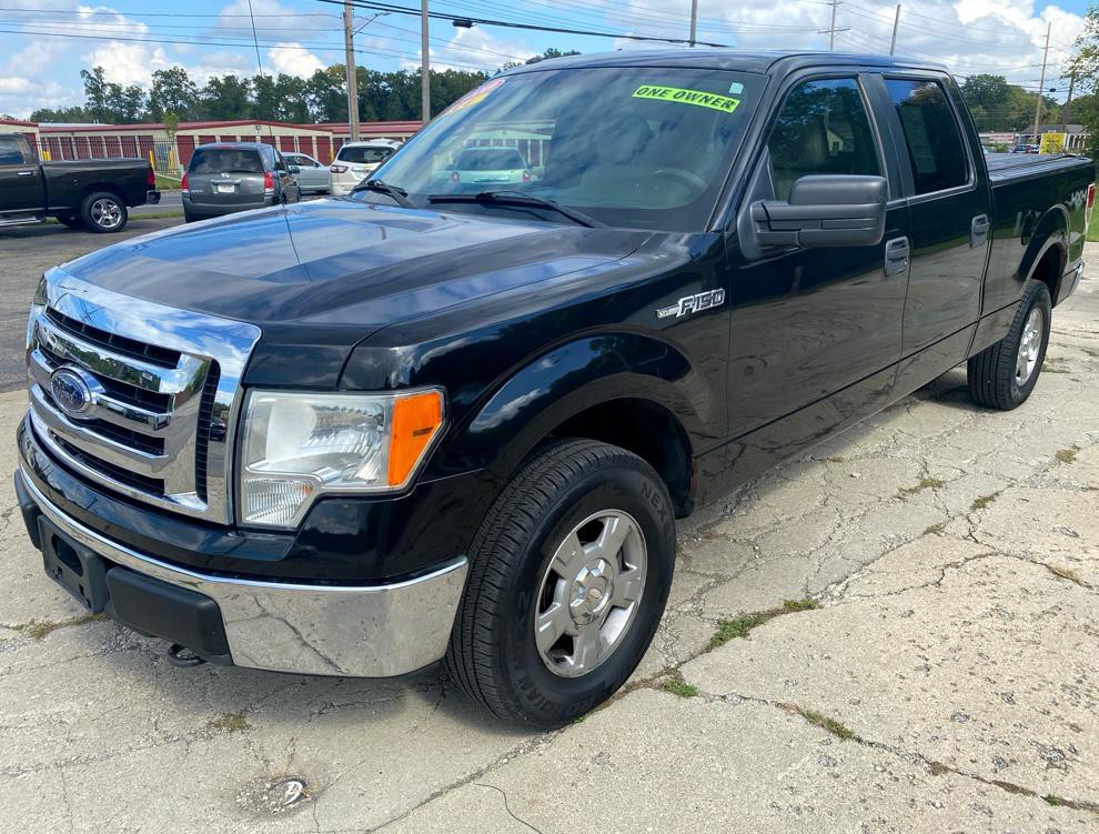 2010 Ford F-150 Image 3