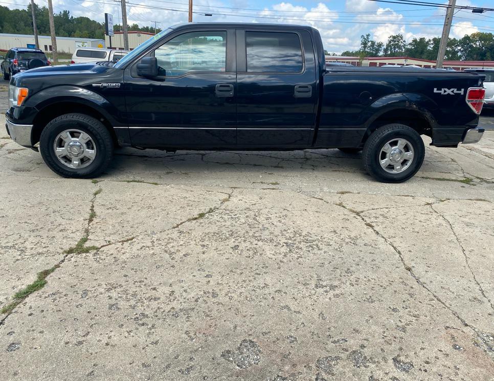 2010 Ford F-150 Image 4