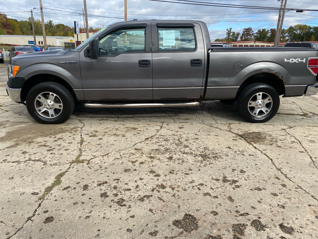 2010 Ford F-150 Image 4