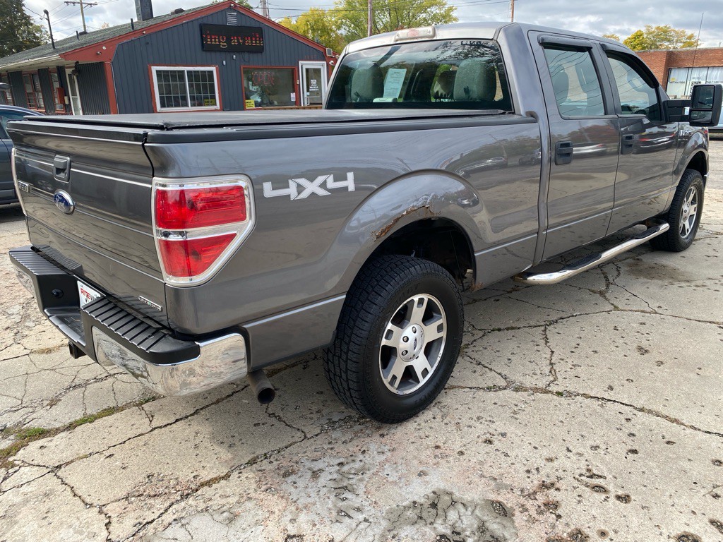 2010 Ford F-150 Image 7