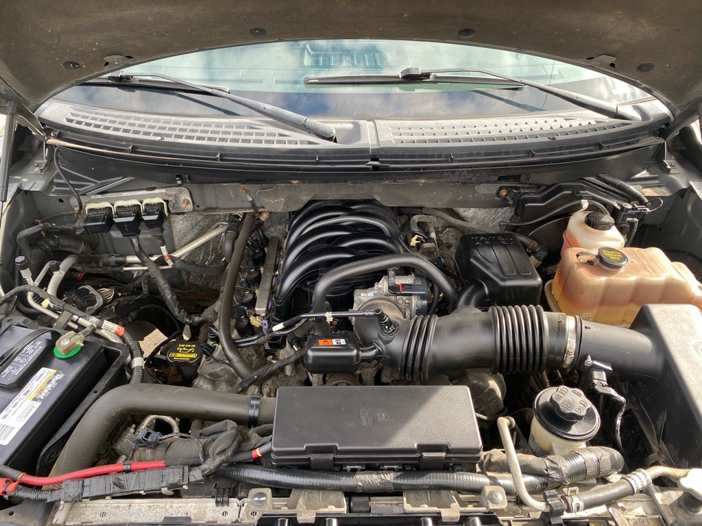 2010 Ford F-150 Image 18