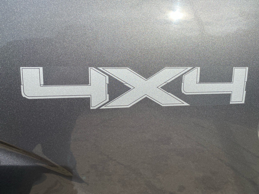 2010 Ford F-150 Image 21