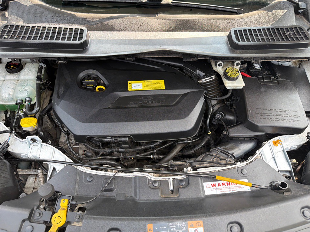 2014 Ford Escape Image 9
