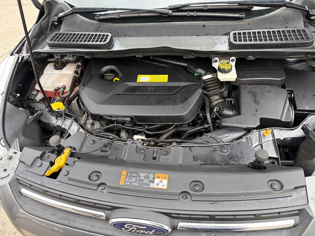 2014 Ford Escape Image 9