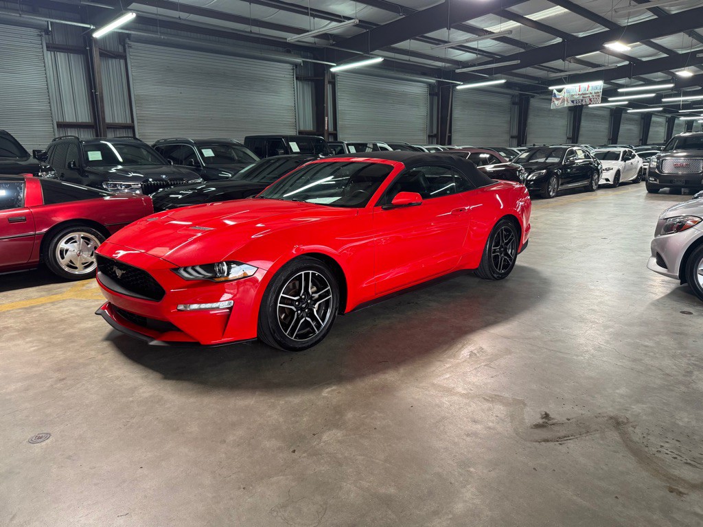 2019 Ford Mustang Image 1