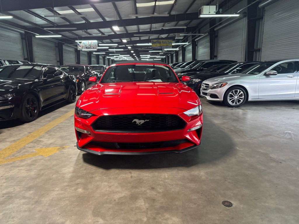 2019 Ford Mustang Image 4