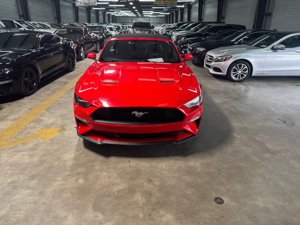 2019 Ford Mustang Image 5