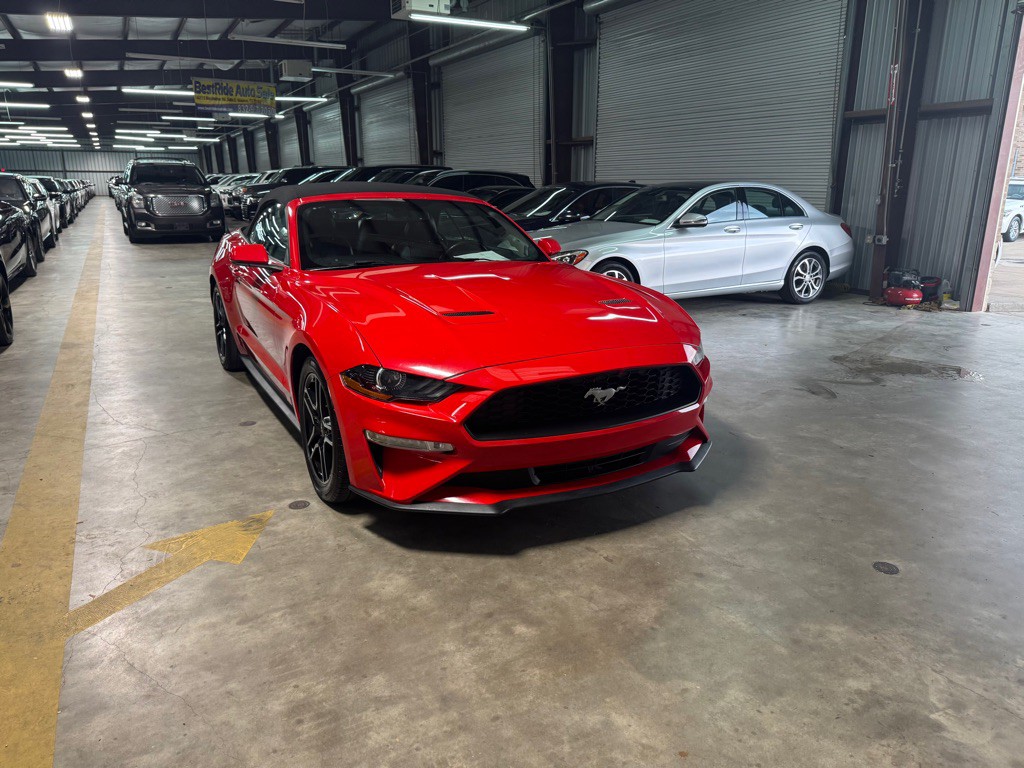 2019 Ford Mustang Image 6