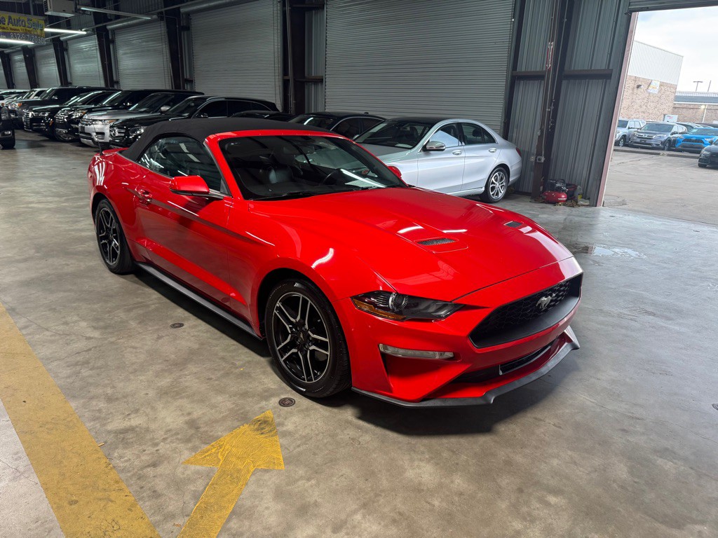 2019 Ford Mustang Image 7
