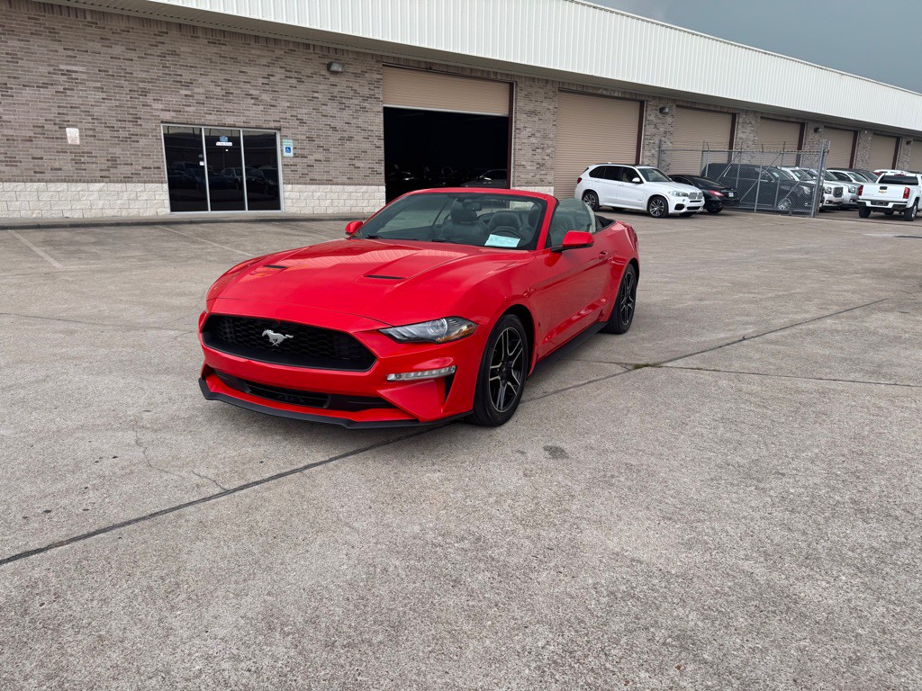 2019 Ford Mustang Image 13