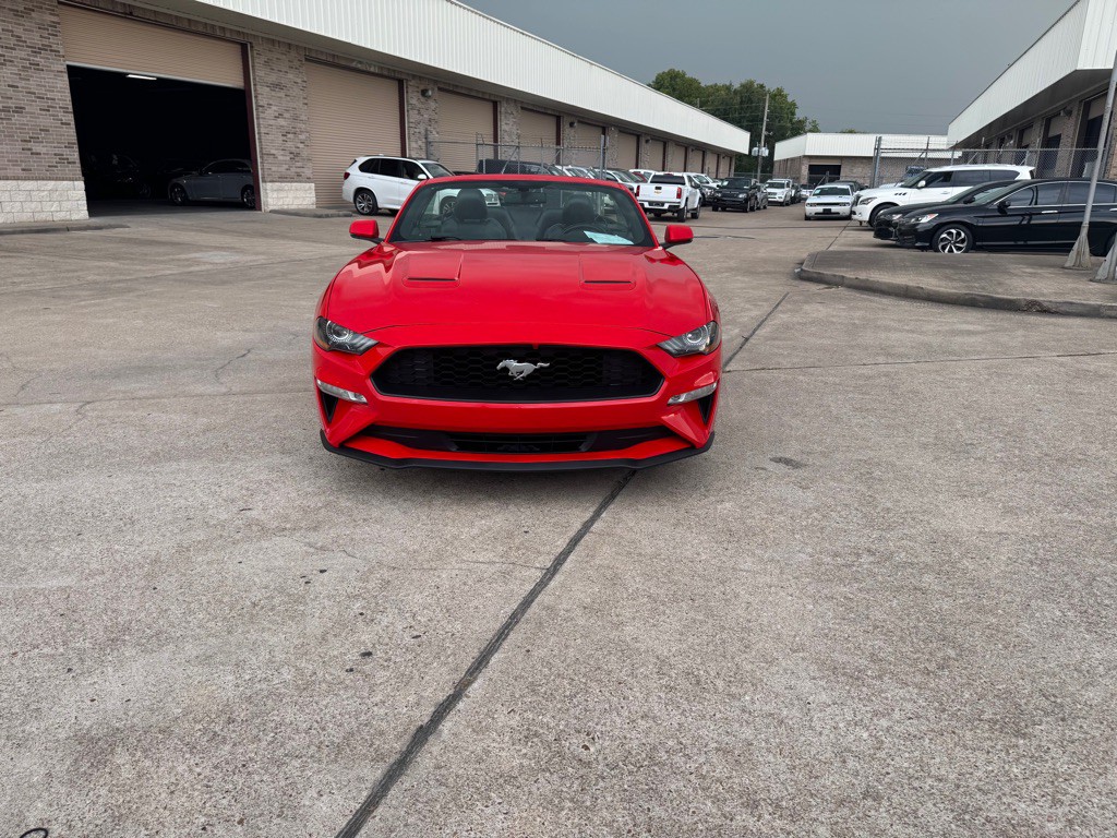 2019 Ford Mustang Image 14