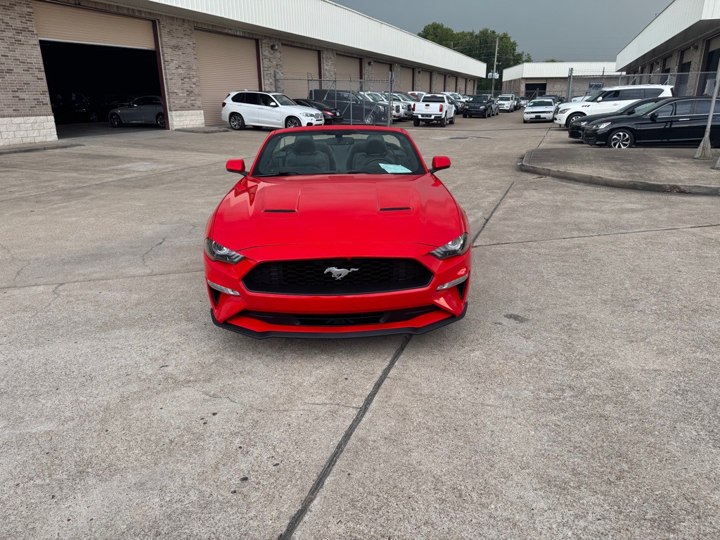 2019 Ford Mustang Image 15