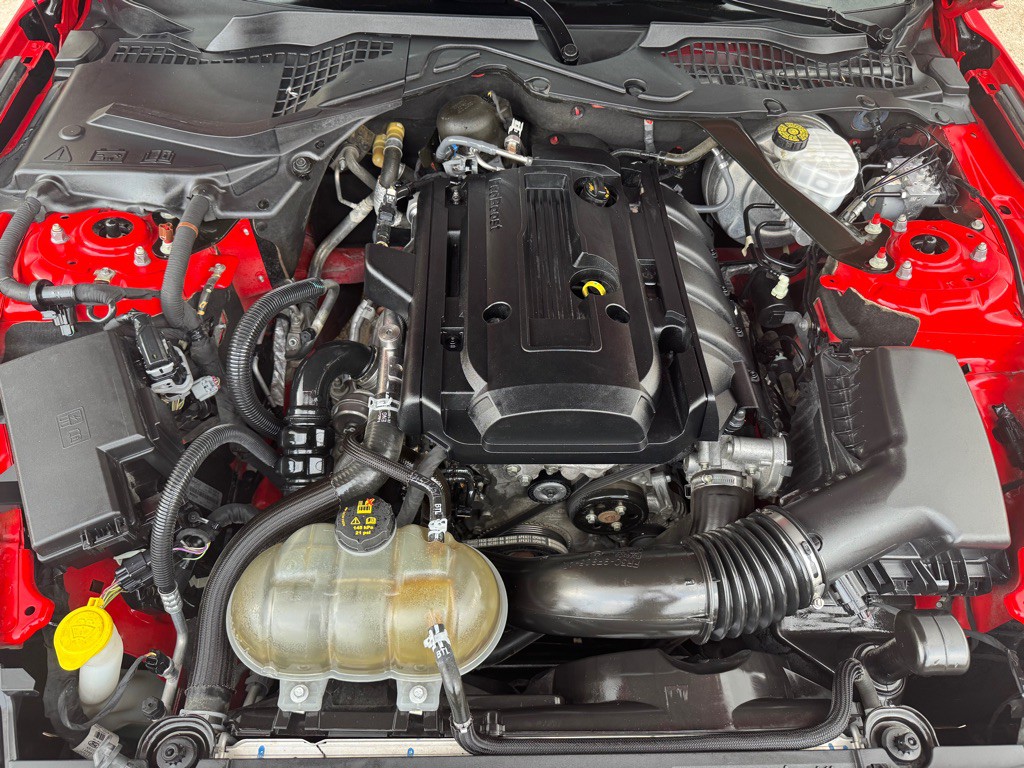2019 Ford Mustang Image 42