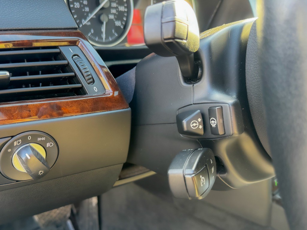 2010 BMW 5 Series Image 48