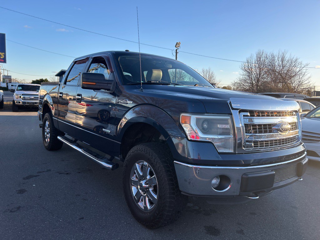 2014 Ford F-150 Image 3