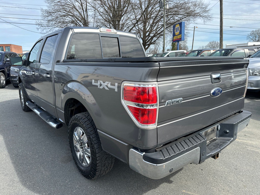 2010 Ford F-150 Image 3
