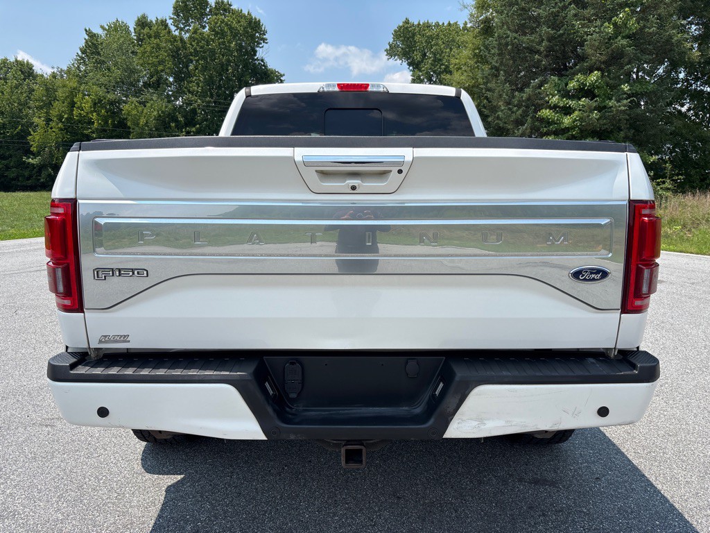 2015 Ford F-150 Image 4