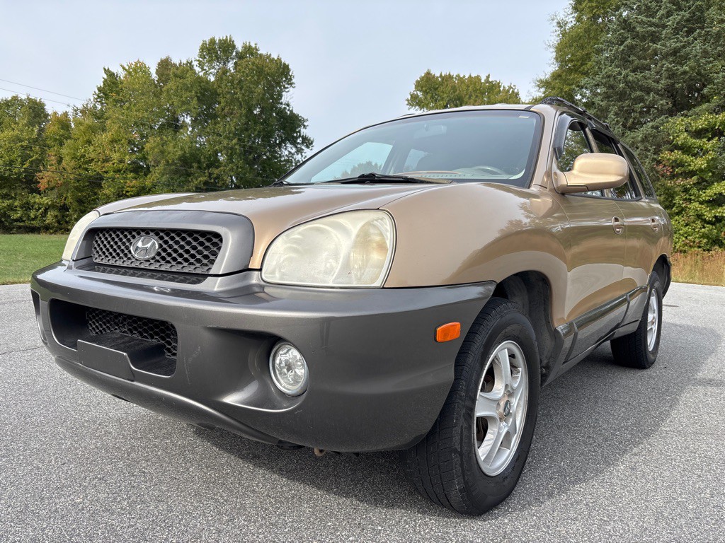 2004 Hyundai Santa Fe Image 1