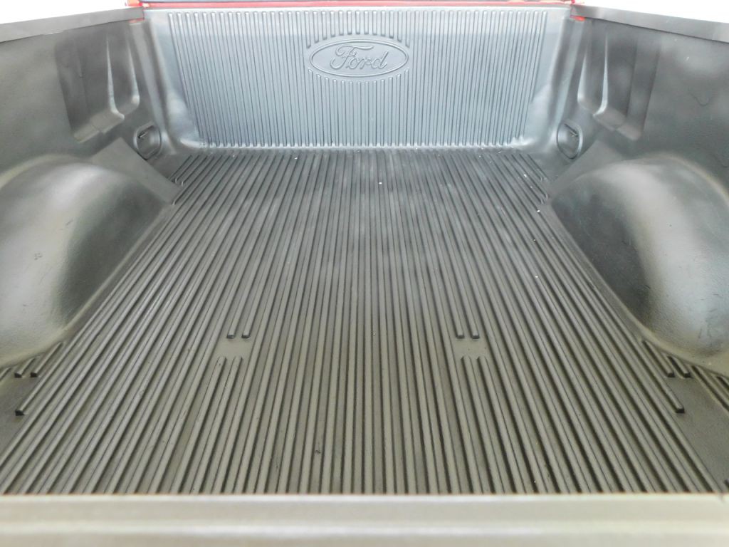 2010 Ford F-150 Image 39