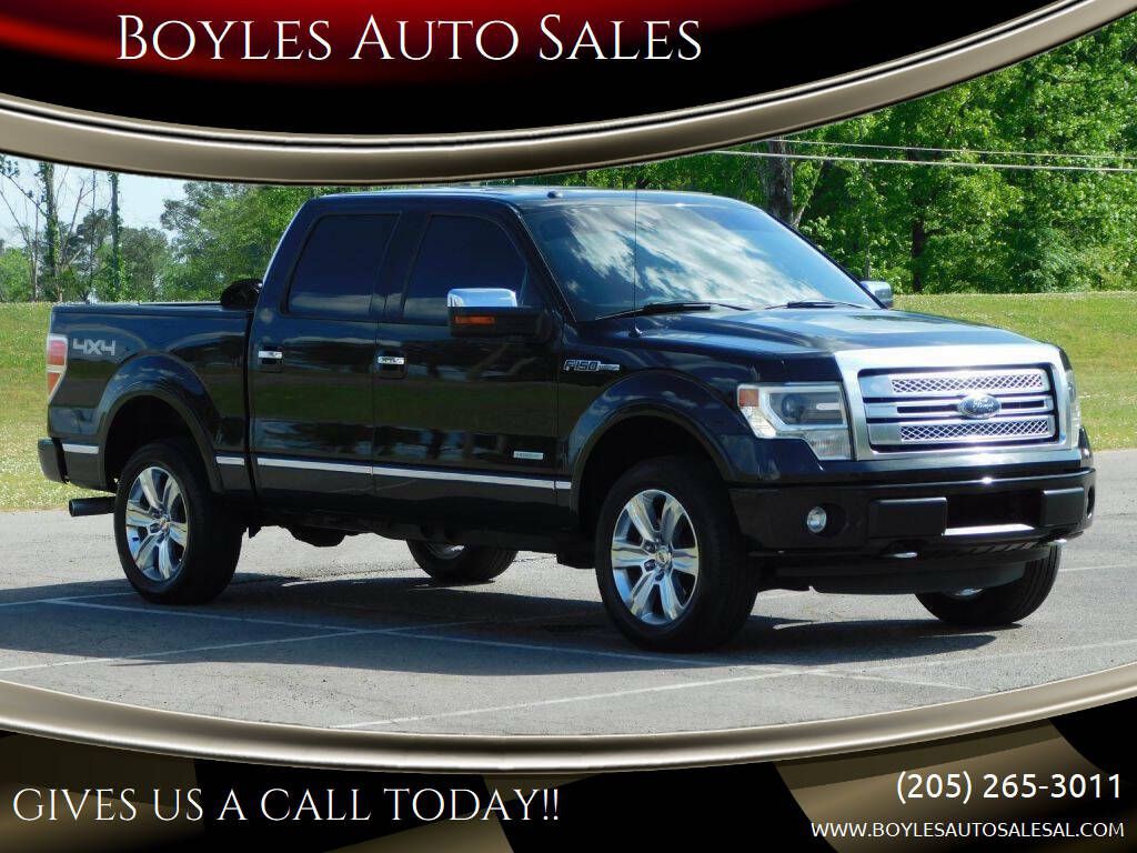 2013 Ford F-150 Image 1