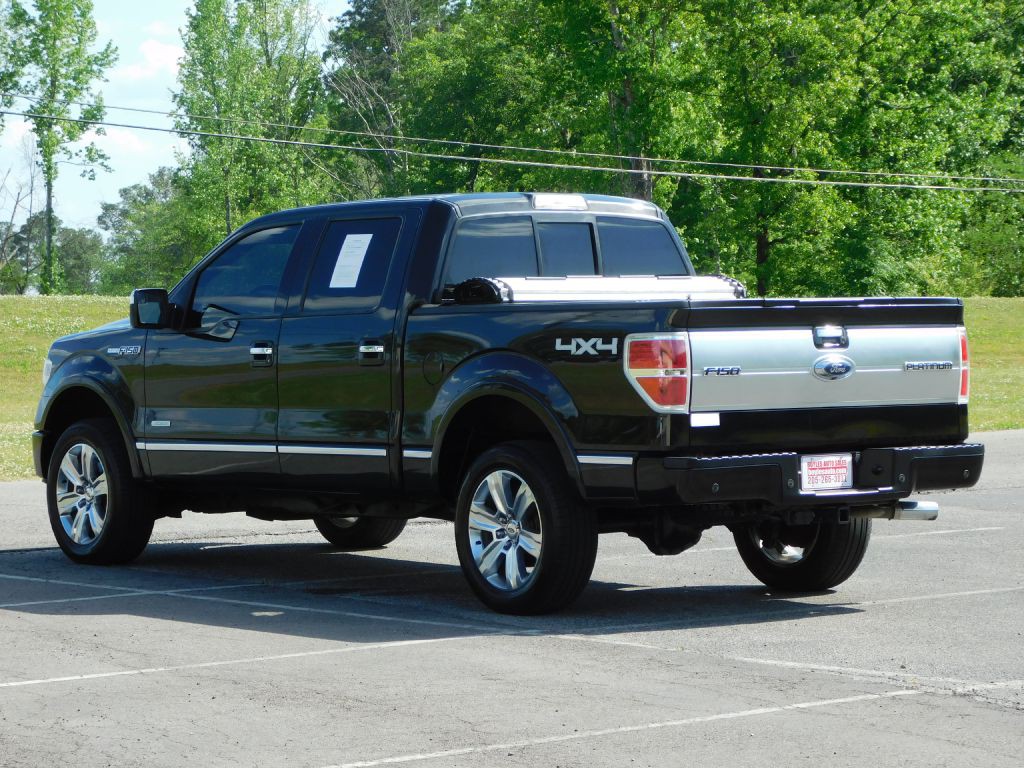 2013 Ford F-150 Image 6