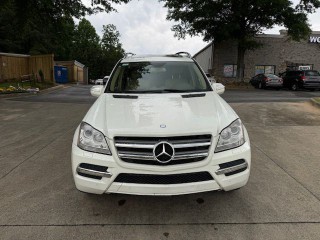 Image for 2010 Mercedes-Benz GL-Class GL 450 4MATIC ID: 6945218