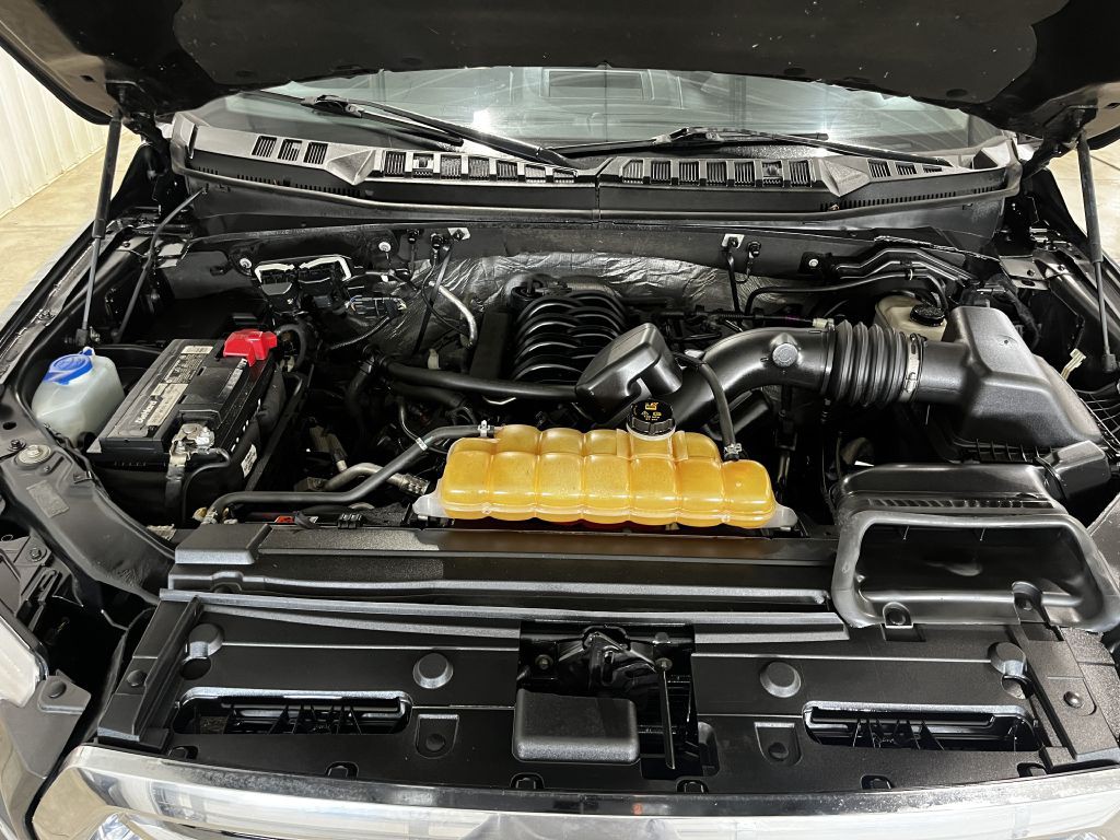 2015 Ford F-150 Image 7