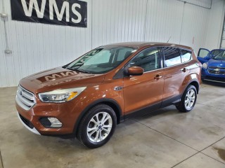 Image for 2017 Ford Escape SE ID: 6753951