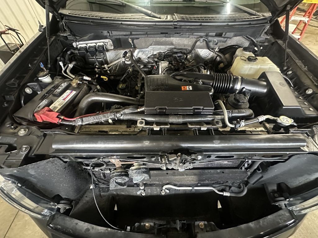 2010 Ford F-150 Image 4