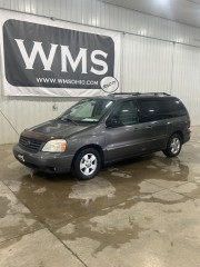 Image for 2004 Ford Freestar SES ID: 7318213