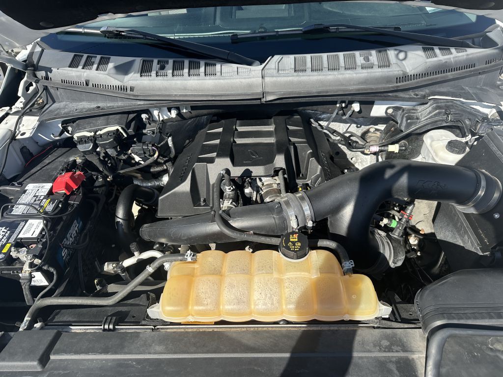 2016 Ford F-150 Image 14