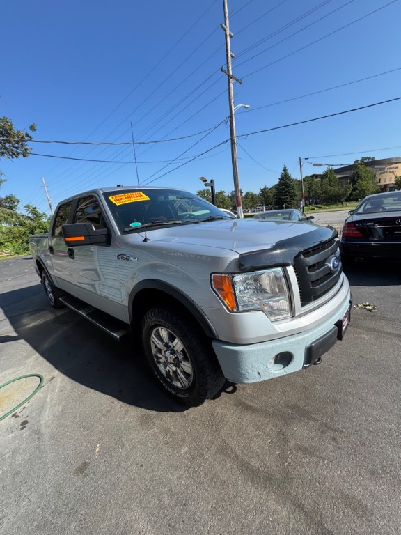 2010 Ford F-150 Image 1