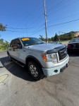 Image for 2010 Ford F-150 Supercrew ID: 7656683
