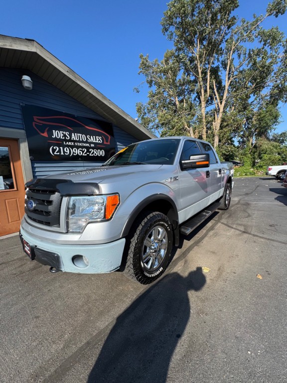 2010 Ford F-150 Image 3