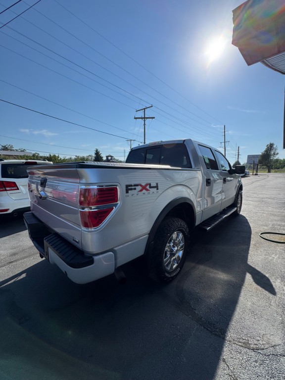 2010 Ford F-150 Image 4