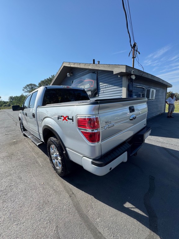 2010 Ford F-150 Image 6